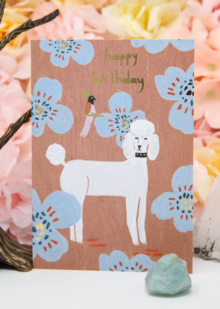 Poodle Birthday Card - Greeting Card - Made in England - dreamylondon